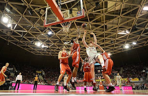 鱼爱好者分 鱼爱好者分