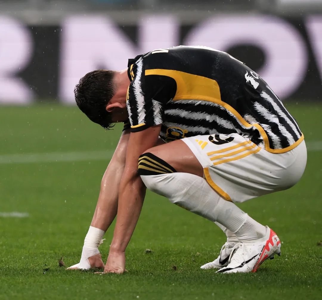 率会在回归 率会在回归